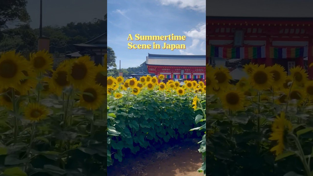 🏯 만원사 (만간지) 이미지 5